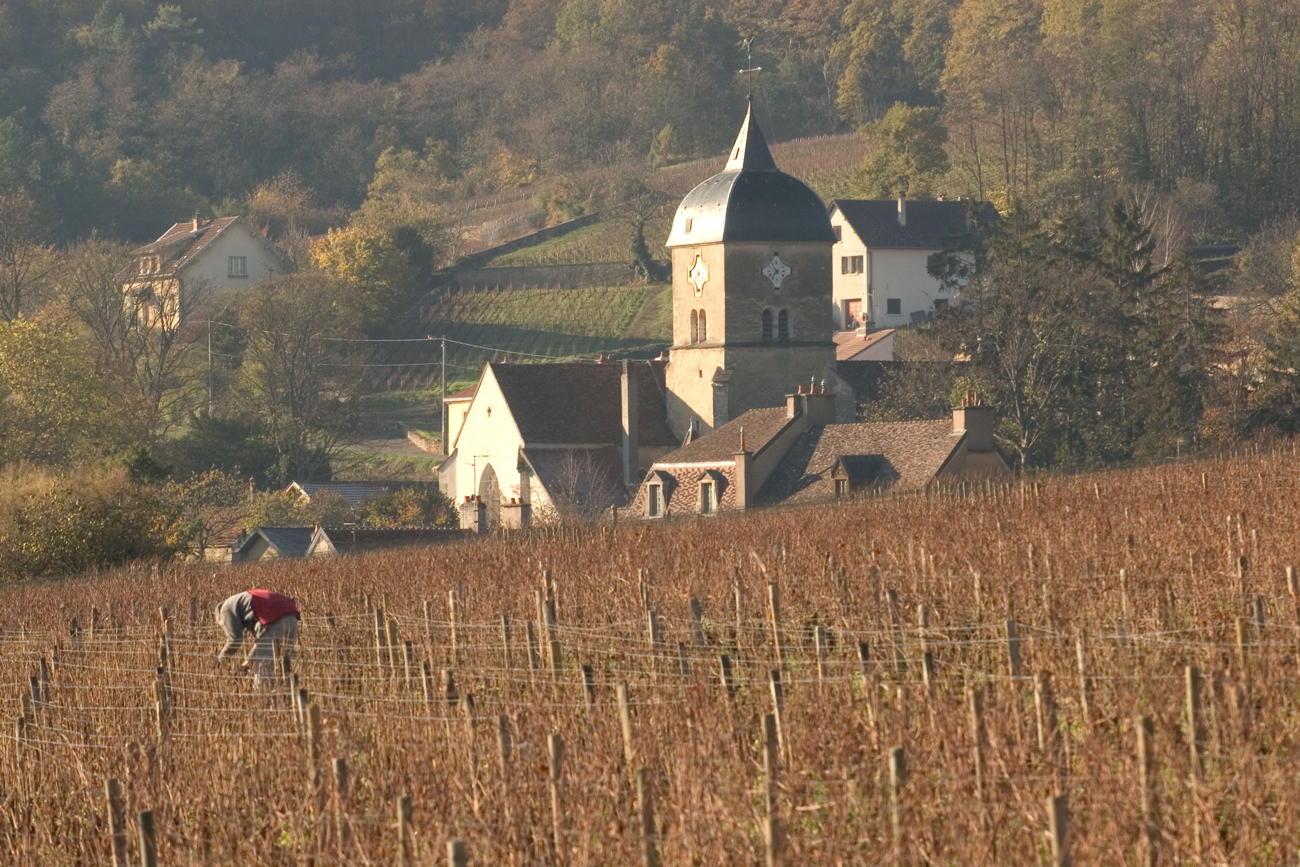 Bonnes Mares Musigny