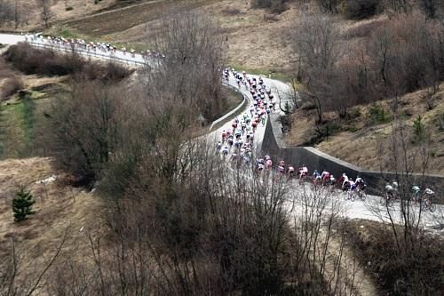 The peloton en route to Motovun in the penultimate stage.
