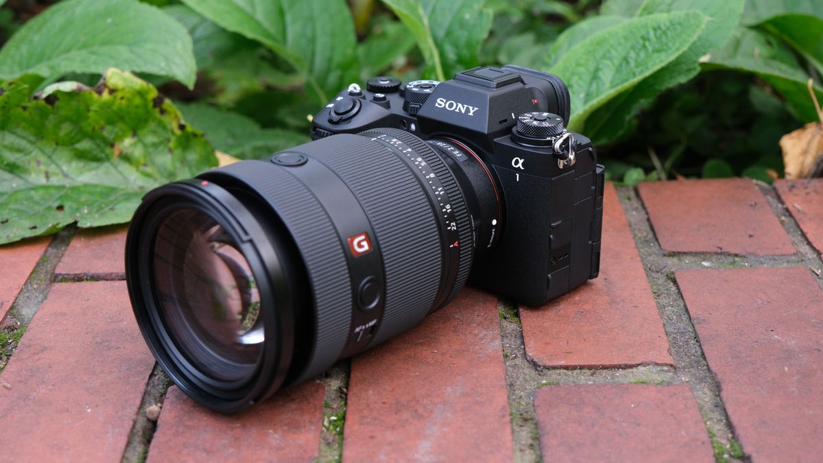 Sony a1 II camera with a Sony FE 28-70mm f/2 GM lens attached on a brick wall in front of green plants