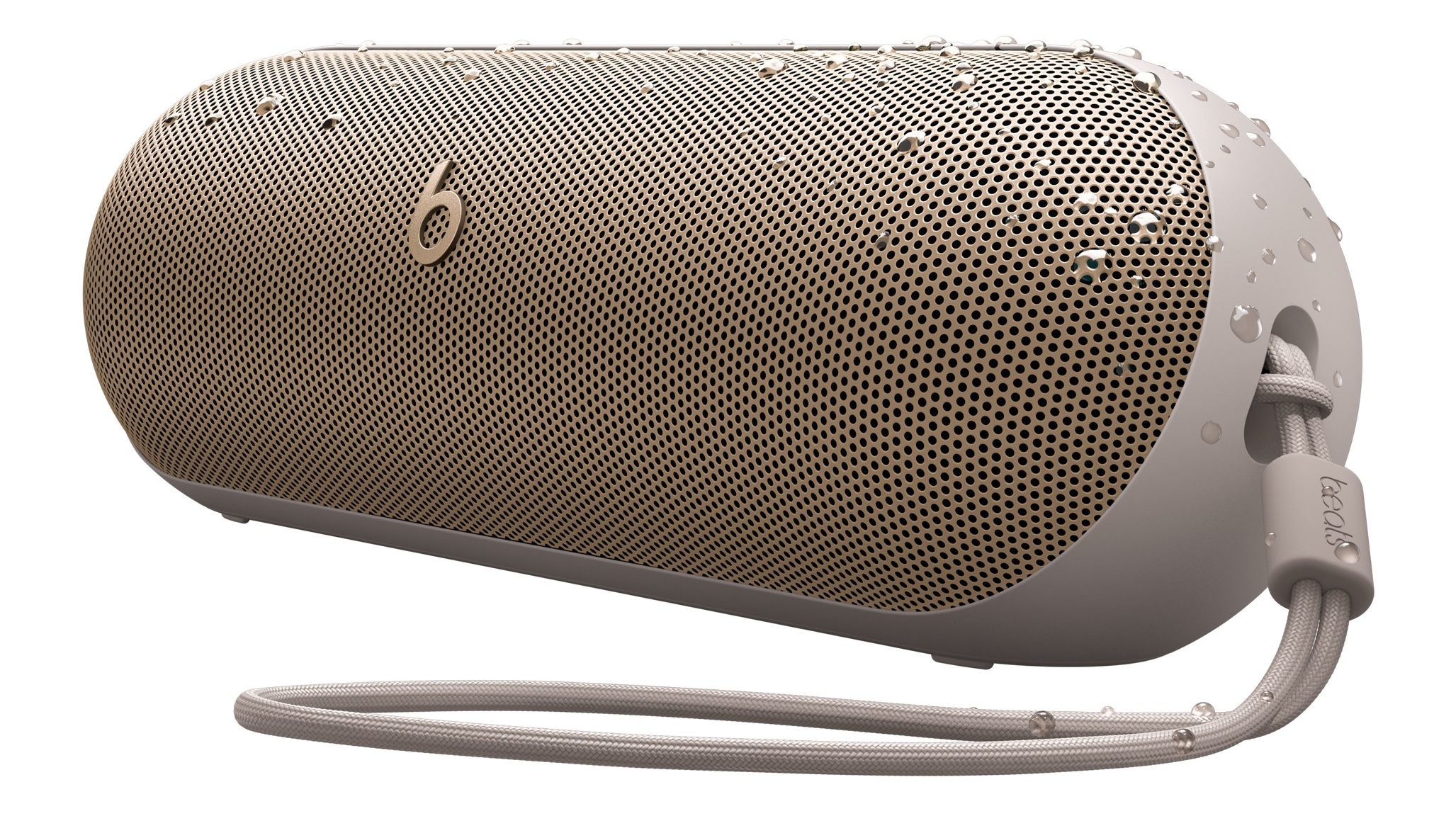 Leaked image of Beats Pill 2024