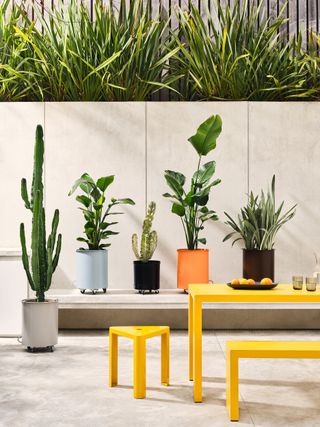 Colourful garden furniture - colourful garden planters - Jennifer Newman 1