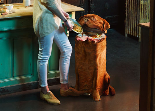 stop treating your dog like a trash can