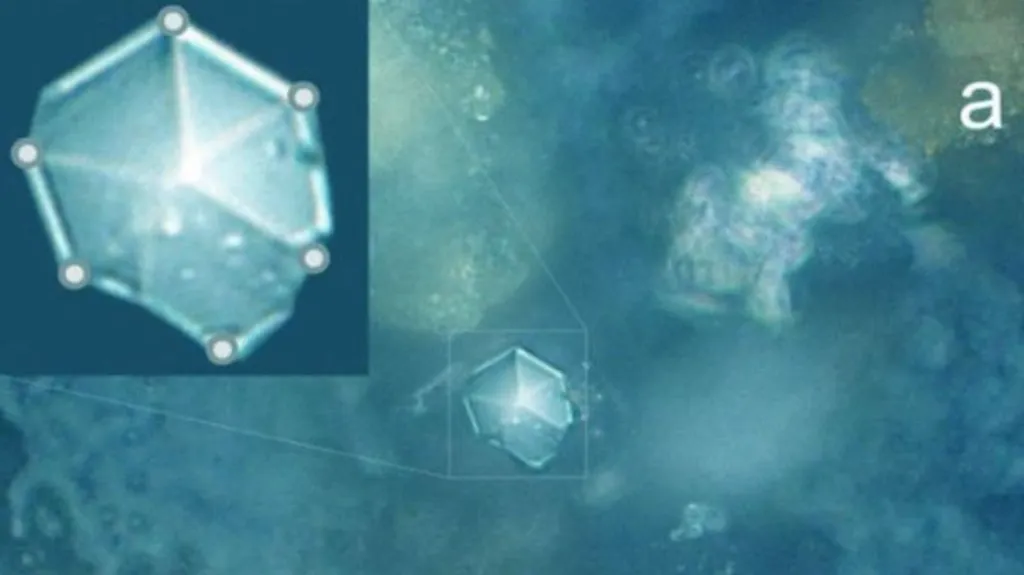Never-before-seen crystals found in perfectly preserved meteorite dust 556cDt5zXf8gphERxbVUaQ-1024-80.jpeg