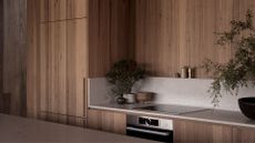 A wood kitchen with a stone counter and backsplash. Potted plants, an induction hob and a vase of stems are on the counter with spice shakers on the ledge above.