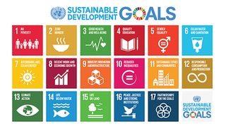 Social Development Goals