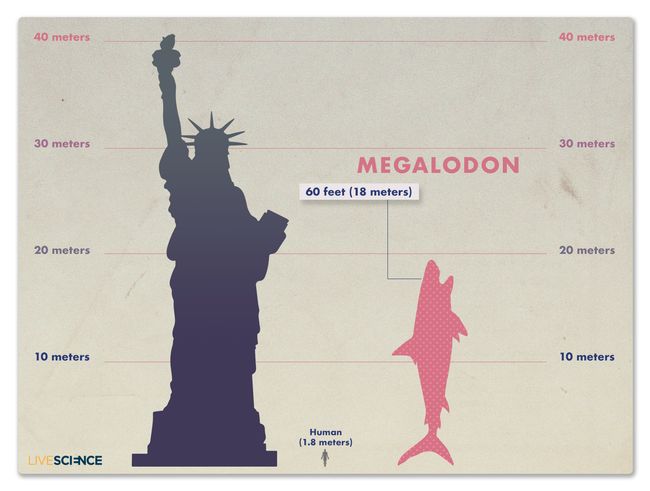 kind-of-a-big-deal-how-king-kong-measures-up-images-live-science