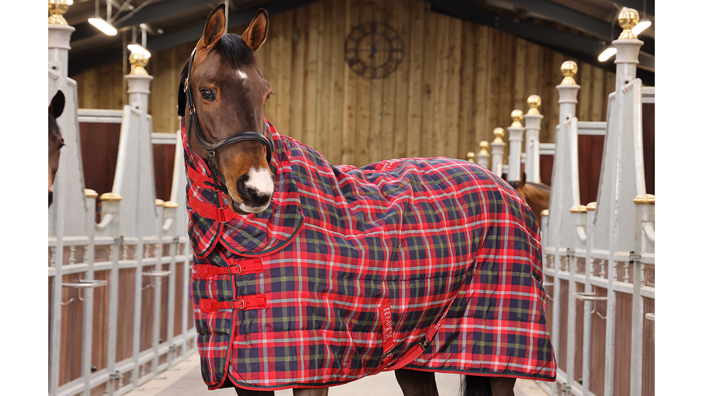 Shires Tempest Plus Stable rug