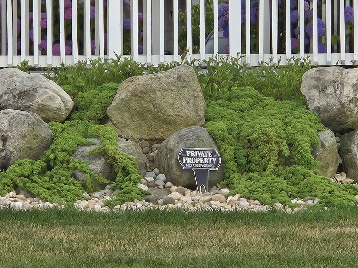 Samsung Galaxy S24 Plus zoom sample.