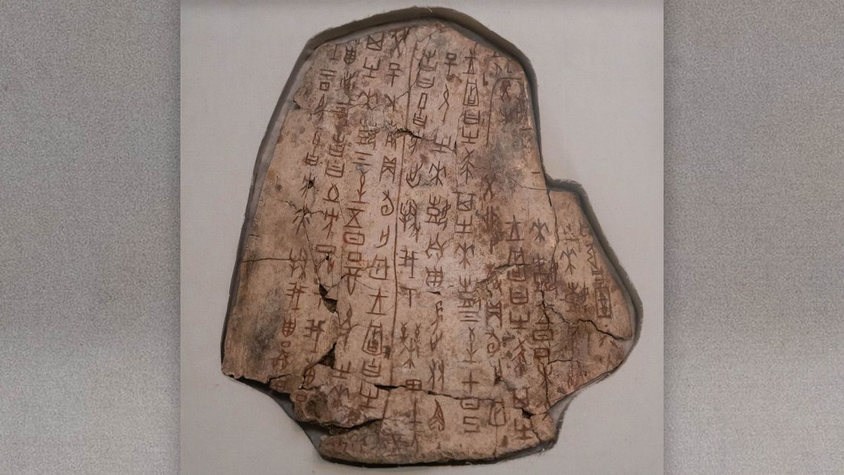 Oracle bones: 3,250-year-old engraved bones and tortoise shells from ancient China were used to foretell the future