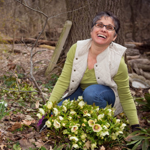 Debra Knapke