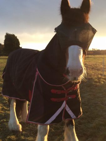 Hovis1-e1512060278488.jpeg
