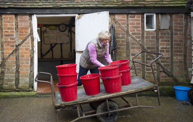 Katie Jerram Access All Areas at Collins Farm in Essex