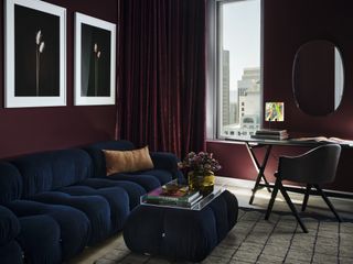 A living room with a deep blue sofa and purple walls