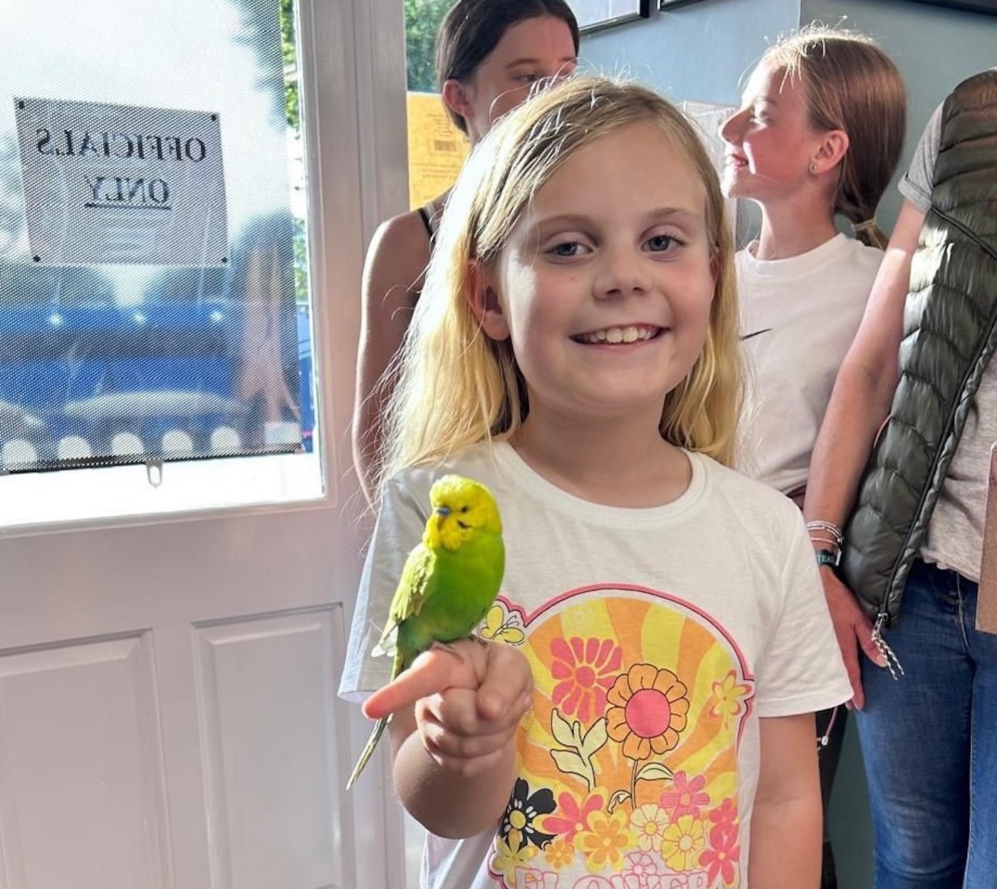 budgie2.jpeg