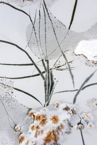 An aerial photo of cracked ice
