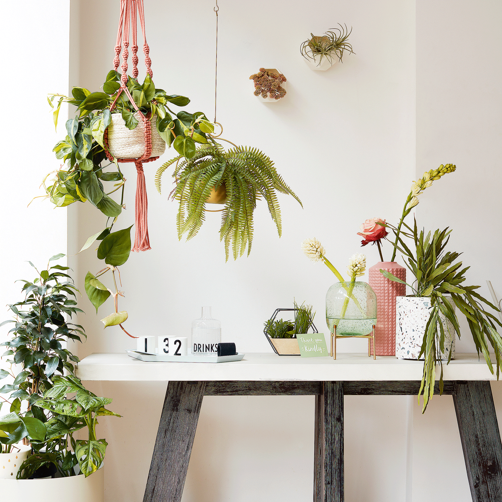 Desk with hanging houseplants