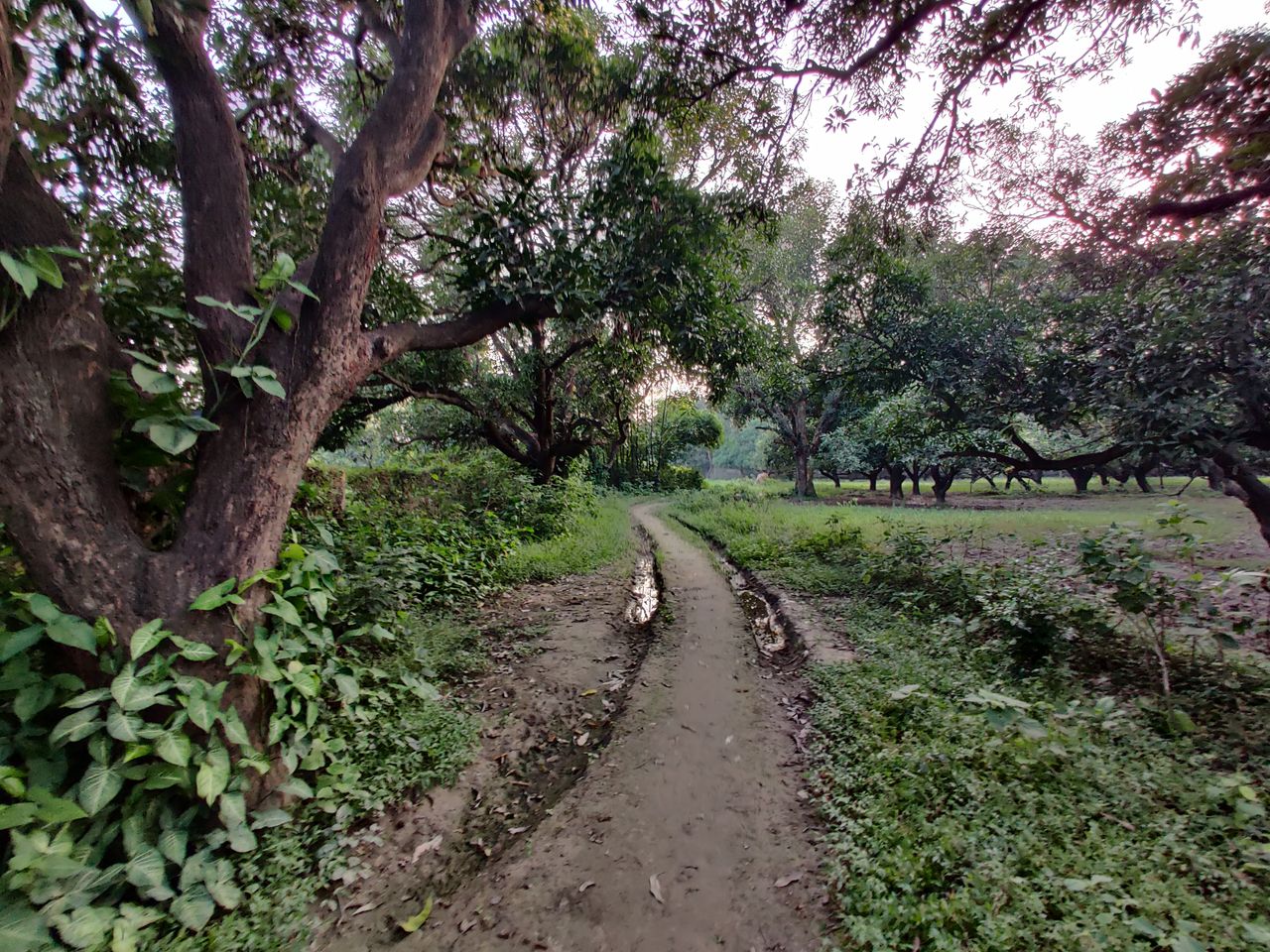 Ultra wide angle lens
