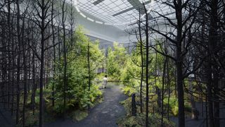 Indoor forest installation