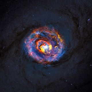 Galaxy NGC 1433 Composite View 