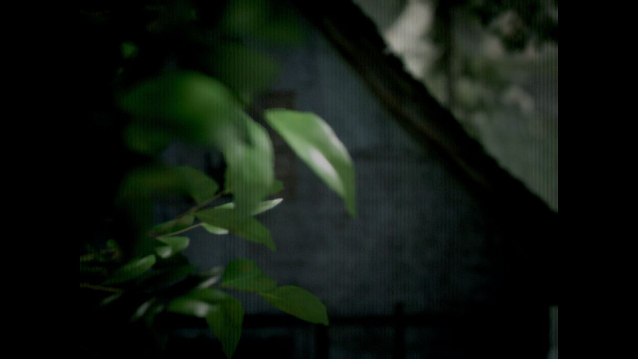 Screenshot of the photography simulator game Lushfoil Photography Sim, depicting close up of lush green leaves