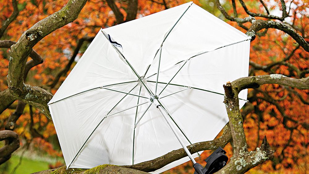 Lastolite Brolly Grip Kit with Translucent Umbrella review TechRadar