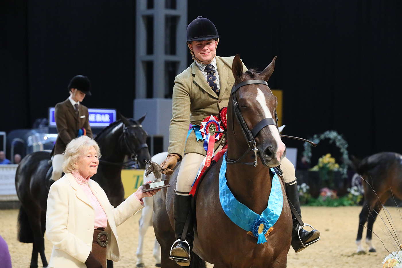 Harry Moore and Be Smart Rotherwood Stud Intermediate Show Hunter of the Year at HOYS 2021
