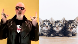 Rob Halford and kittens