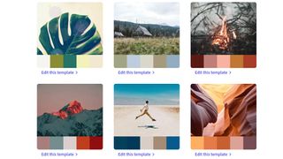 Colour combinations suggested by Adobe Express