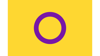 Intersex pride flag