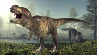 Though the ancestor of all dinosaurs was likely warm-blooded, only some lineages of dinosaurs, such as T. rex and other tyrannosaurs, retained that high-energy metabolism.