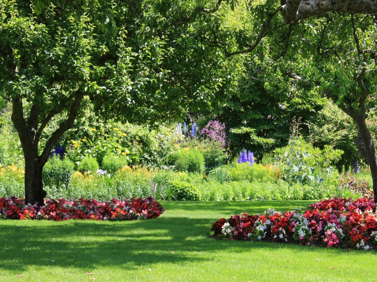 Shady Island Beds Around Trees In A Garden