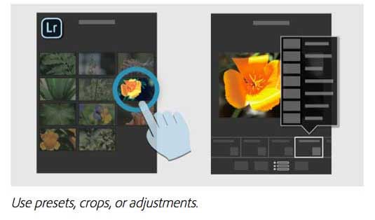 Many, if not all, of the editing tools from Lightroom 5 are available in the app