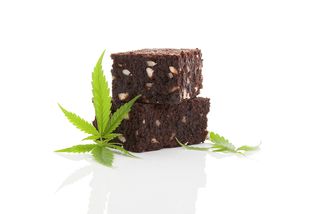 A cannabis brownie