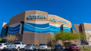 OdySea Aquarium, Arizona