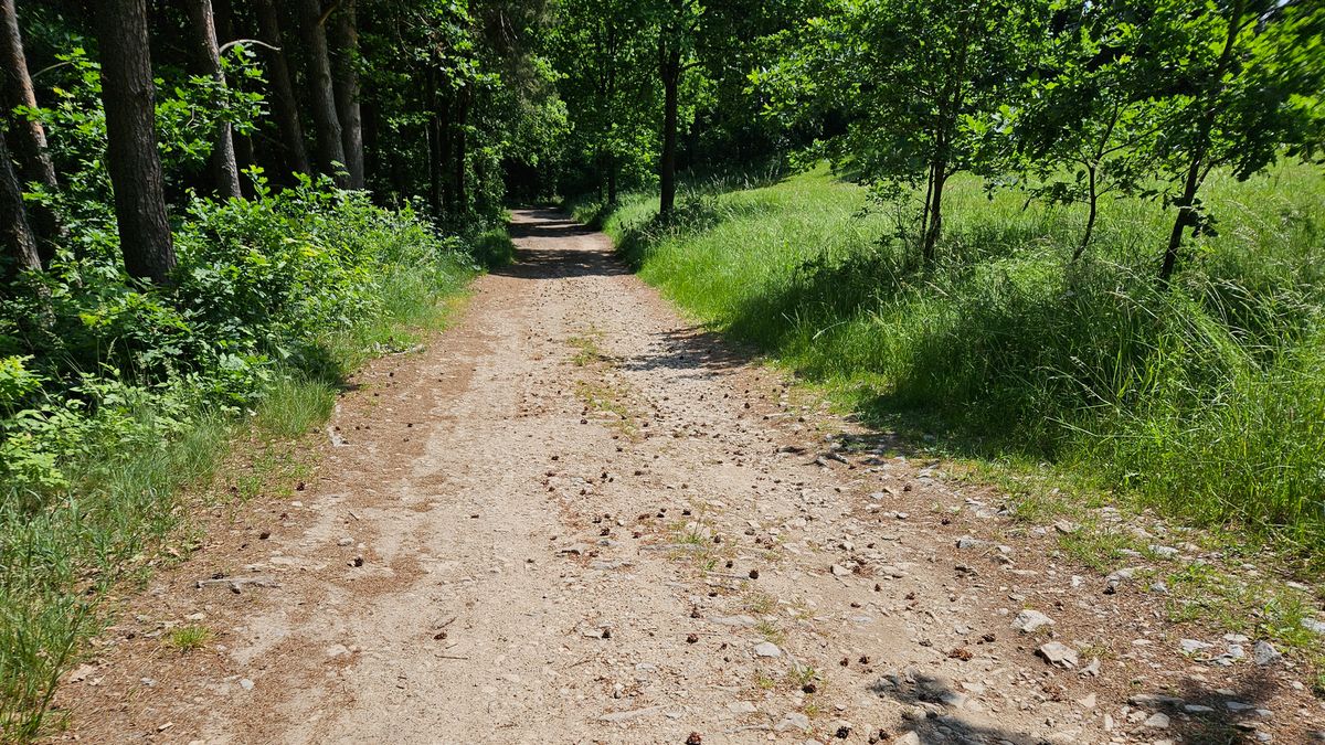 unpaved road surface in Czech