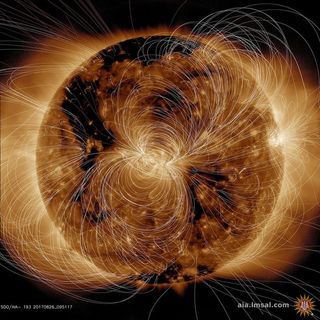 This is what we think the Sun’s magnetic field lines might look like if we could see them coming up from its surface.