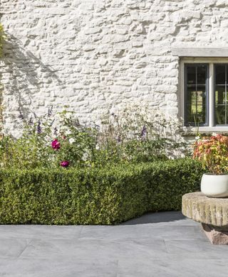 porcelain paving is a good idea for a low maintenance garden