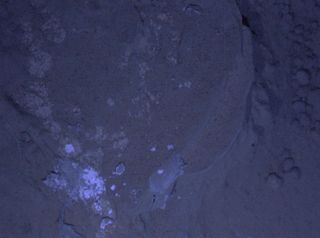 MAHLI's First Night Imaging of Martian Rock Under Ultraviolet Lighting