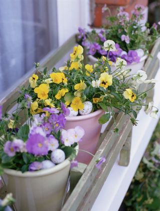 easter themed window box planters