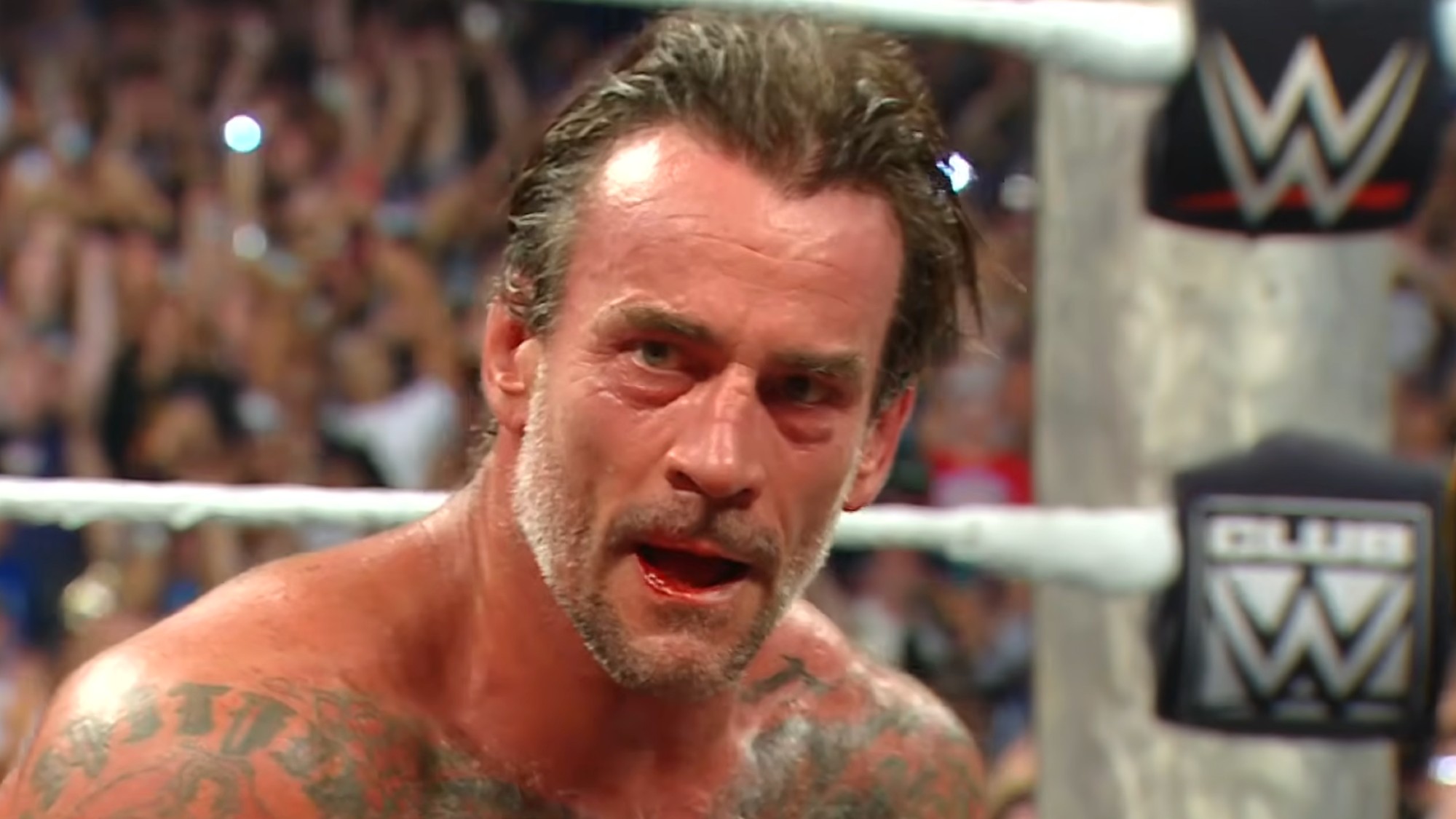 CM Punk in the WWE