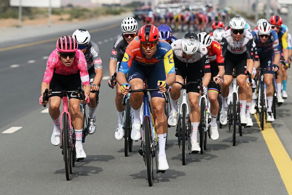 QIDFA UNITED ARAB EMIRATES FEBRUARY 20 LR Jack RootkinGray of The United Kingdom and Team EF EducationEasyPost and Jonathan Milan of Italy and Team LidlTrek compete during the 7th UAE Tour 2025 Stage 4 a 181km stage from Fujairah Qidfa Beach to Umm al Quwain UCIWWT on February 20 2025 in Fujairah Qidfa Beach United Arab Emirates Photo by Dario BelingheriGetty Images