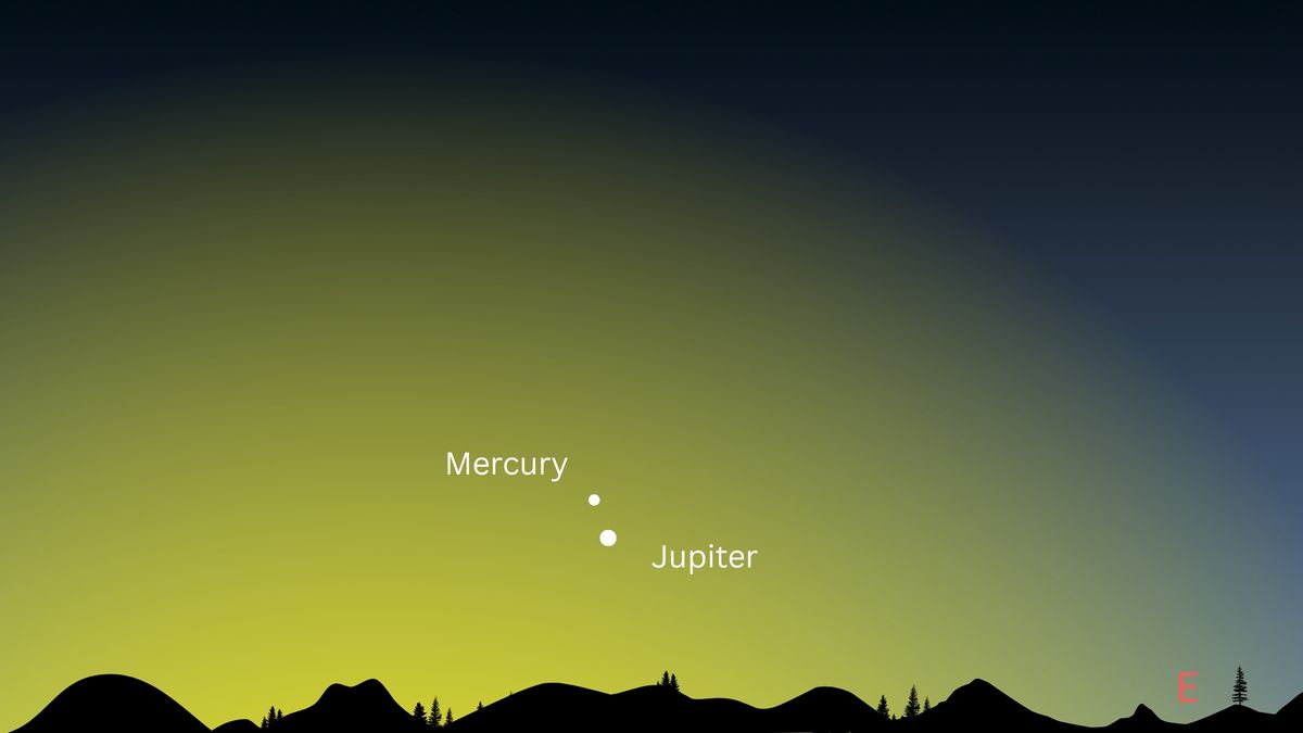 night sky graphic showing jupiter shining close to Mercury above the eastern horizon at the break of dawn.