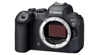 Canon eos r6 mark ii on a white background