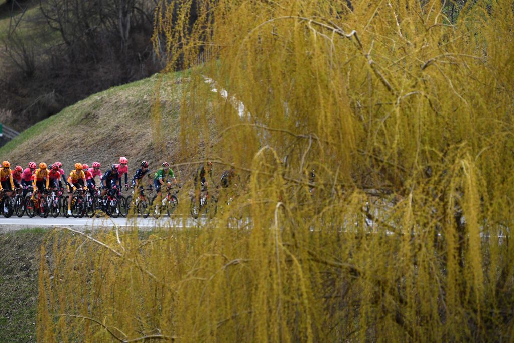 FEICHTEN IM KAUNERTAL AUSTRIA APRIL 20 Gianni Moscon of Italy and Team INEOS Grenadiers Green Leader Jersey The Peloton during the 44th Tour of the Alps 2021 Stage 2 a 1215km stage from Innsbruck to Feichten im Kaunertal 1291m Landscape TourofTheAlps TouroftheAlps on April 20 2021 in Feichten im Kaunertal Austria Photo by Tim de WaeleGetty Images
