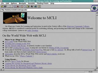 Mosaic browser