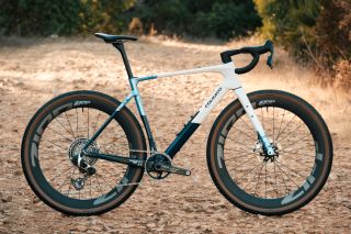 White, black and blue gravel bike on a leafy background
