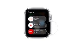 Apple watch reset screen