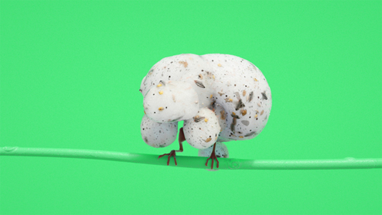 3D bird animation