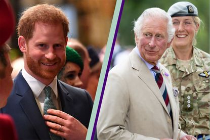 Prince Charles’ plan to bring Prince Harry back to the monarchy, according to royal expert