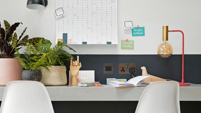 home office with navy and white wall, white chairs and houseplants